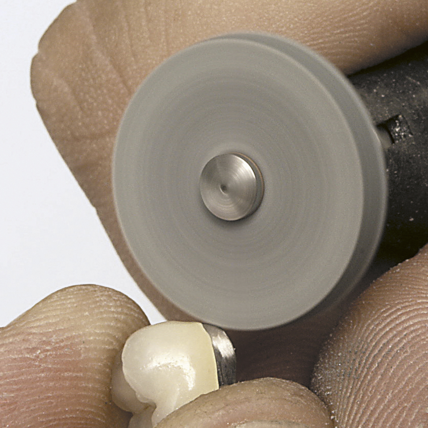 Renfert Polisoft Polierer, Rad, ø 22 mm - 50 Stück Renfert Polisoft Polierer, Rad, ø 22 mm - 50 Stück
