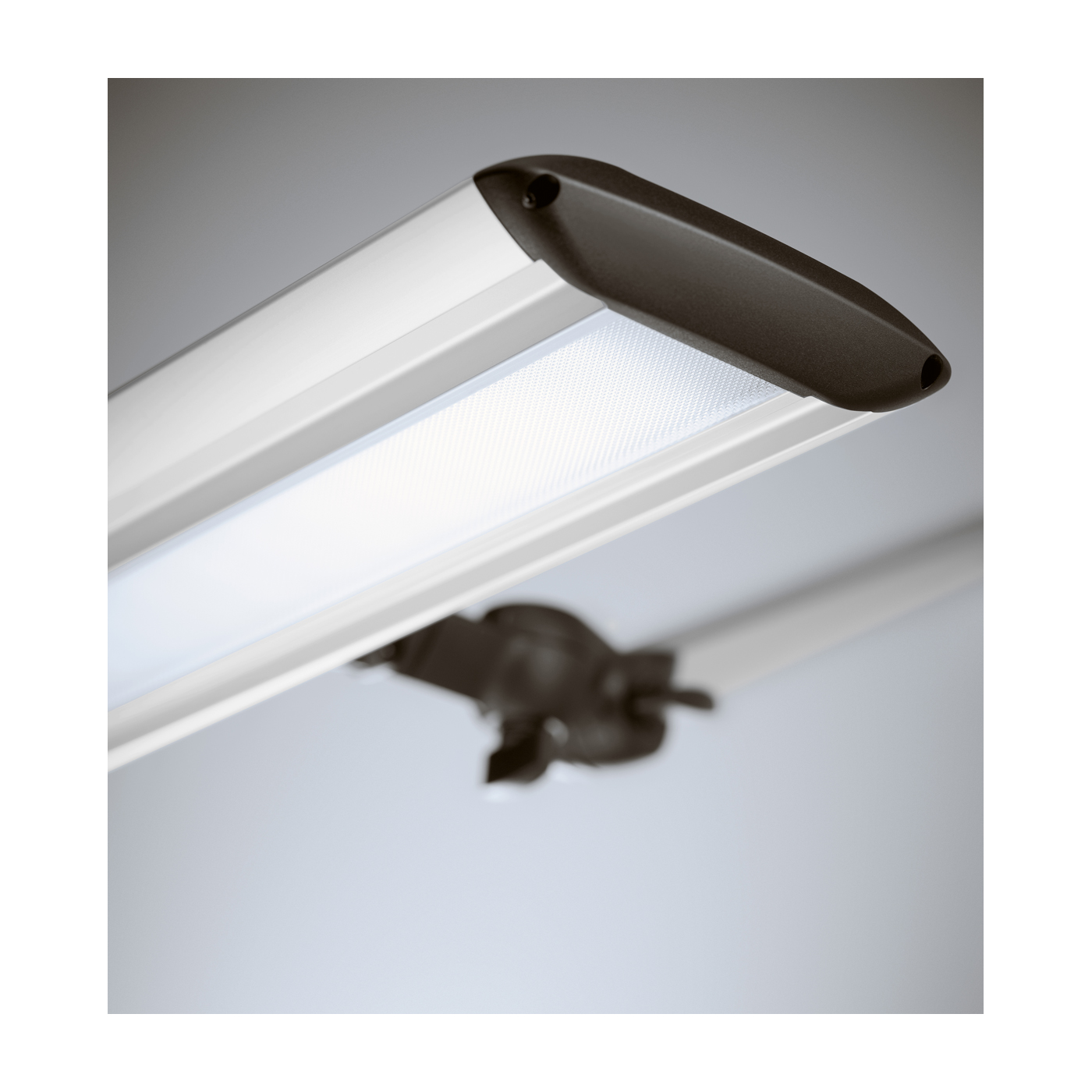 Taneo Lab 38-D50 LED bench light - 1 piece Taneo Lab 38-D50 LED bench light - 1 piece