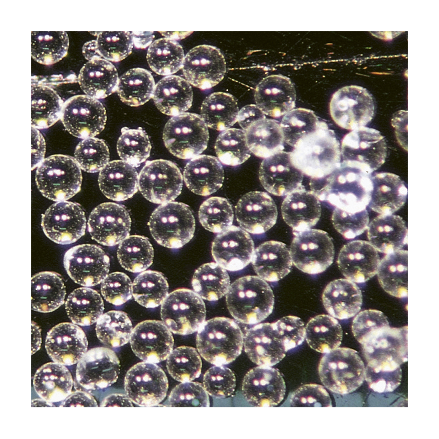 Rolloblast Blasting Agent, 50 µm - 5 kg Rolloblast Blasting Agent, 50 µm - 5 kg