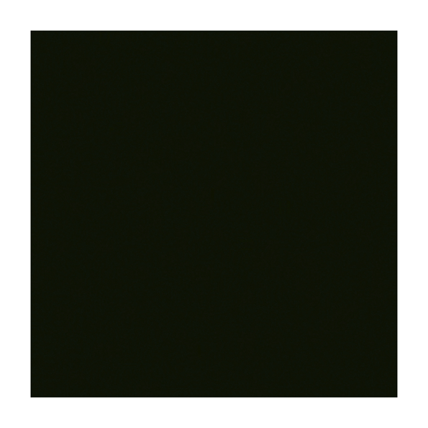 Efcolor Farbschmelzpulver, opak, schwarz - 25 ml Efcolor Farbschmelzpulver, opak, schwarz - 25 ml