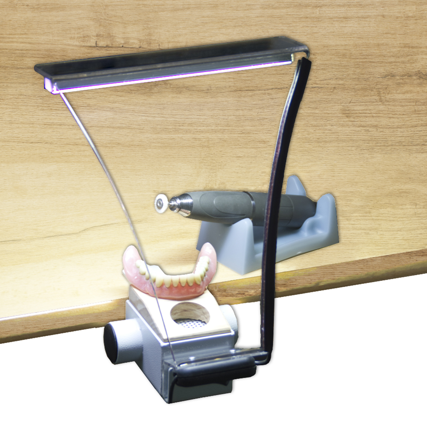 IP Division ABS Absaugmaul, mit Schutzscheibe und LED - 1 Stück IP Division ABS Absaugmaul, mit Schutzscheibe und LED - 1 Stück