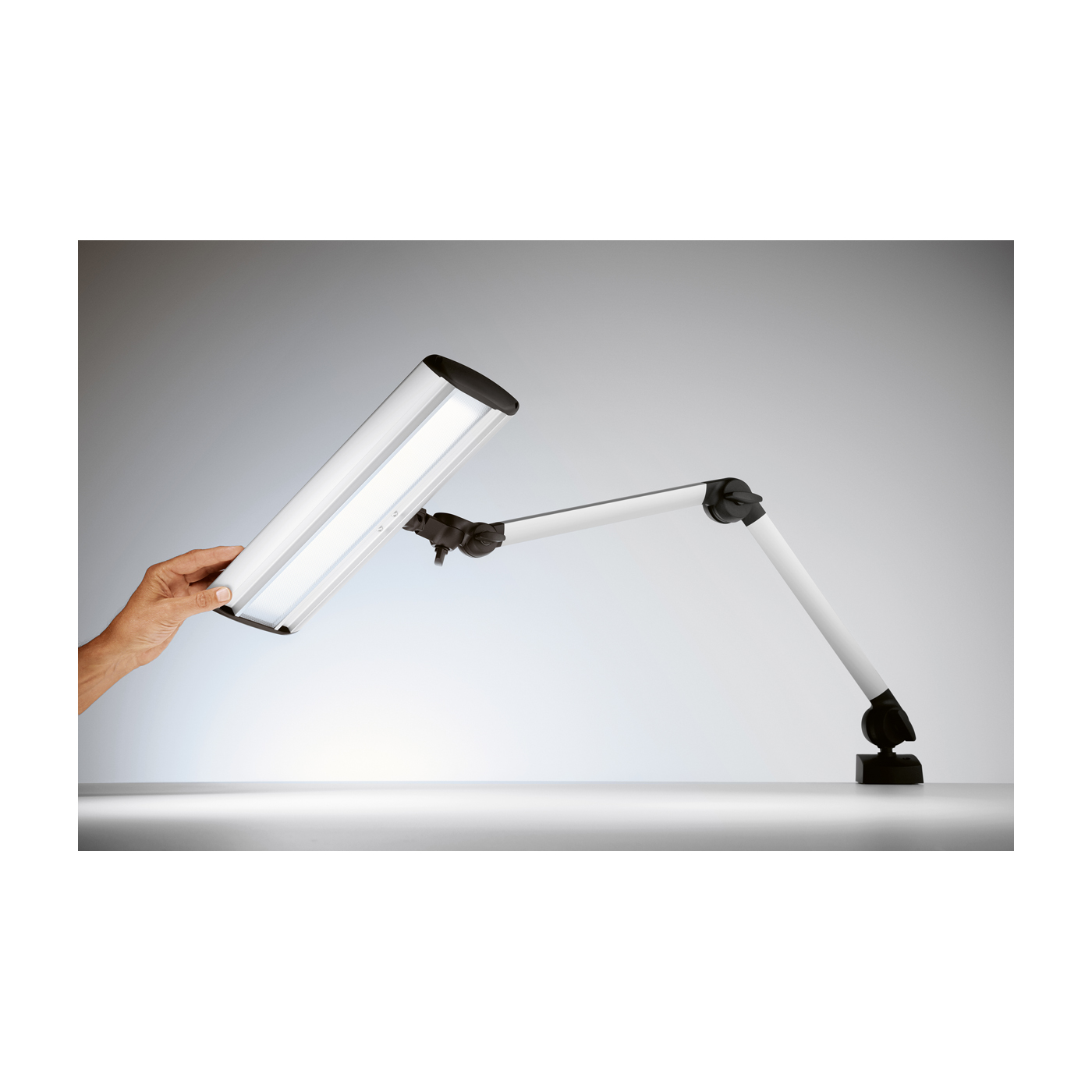 Taneo Lab 38-D50 LED bench light - 1 piece Taneo Lab 38-D50 LED bench light - 1 piece